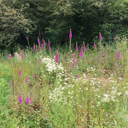 Casa de Férias At Youghal Bridge Dloughtane