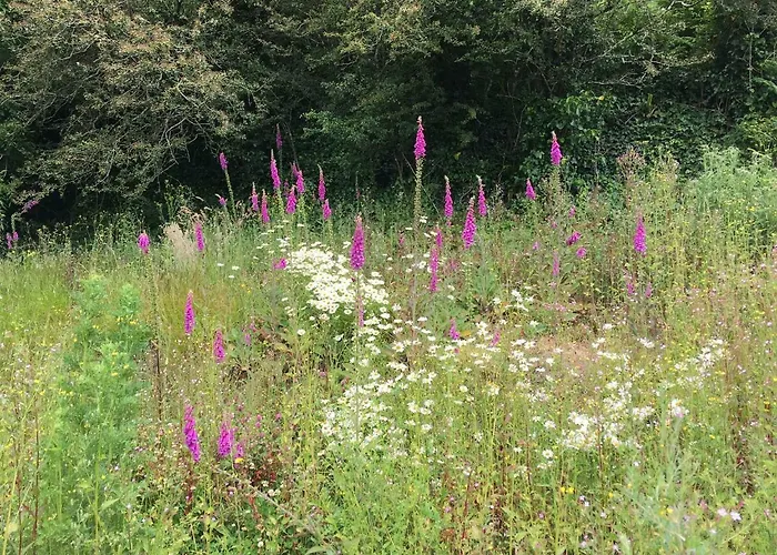 Дом отдыха At Youghal Bridge Dloughtane